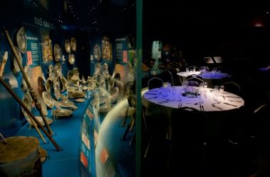 Mary Rose Museum