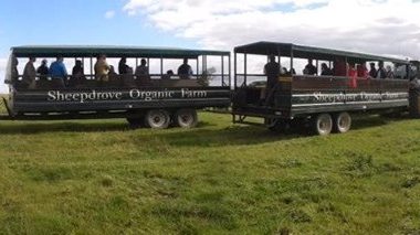 Sheepdrove Organic Farm & Eco Conference Centre