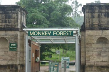 Trentham Monkey Forest