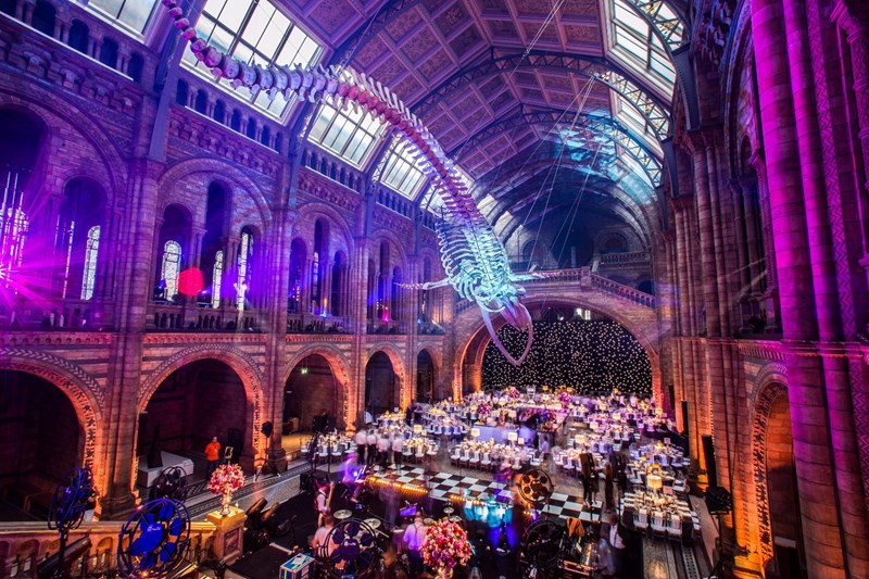 Natural History Museum | Meetings | Reviews | meetingsclub