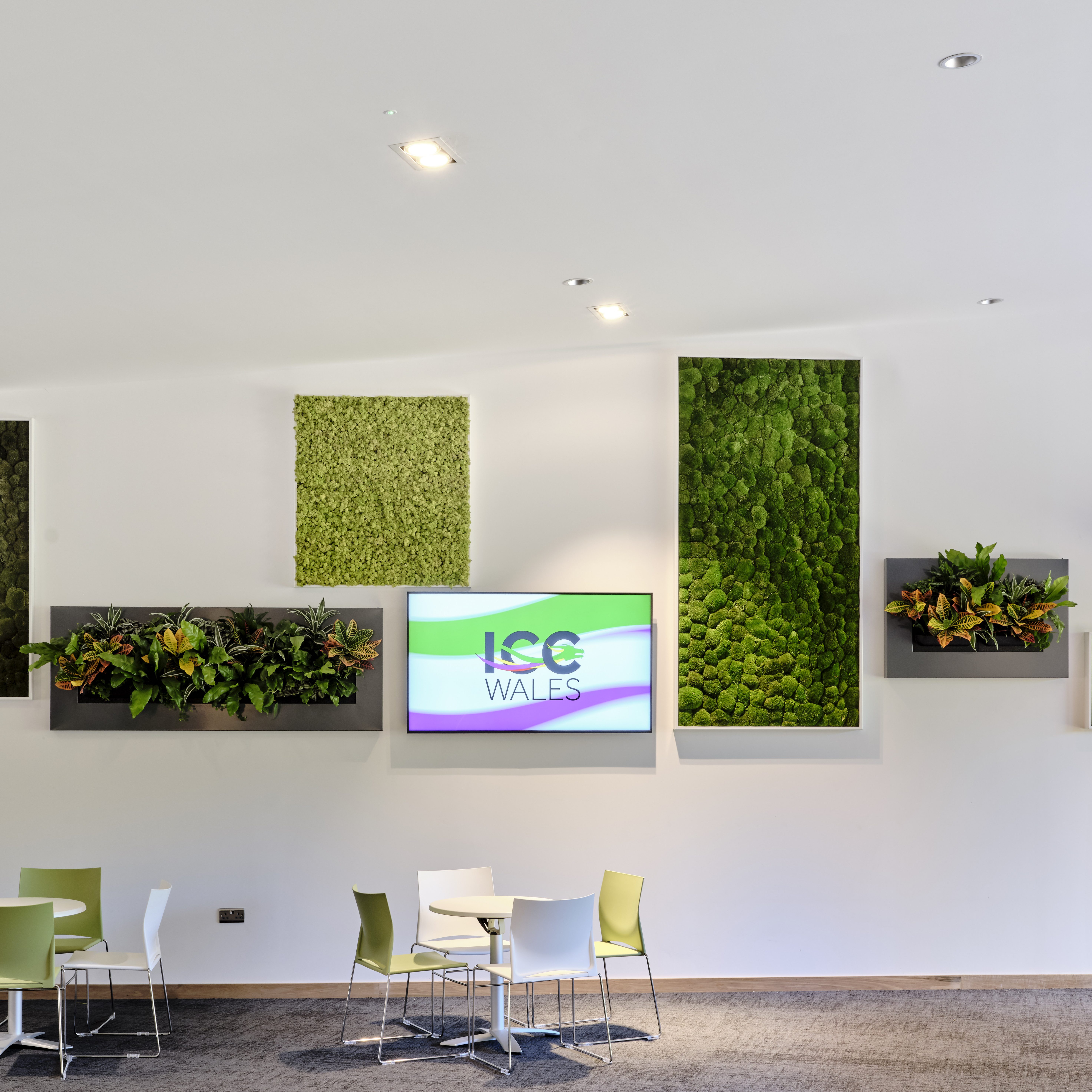ICC Wales - Living Wall 1